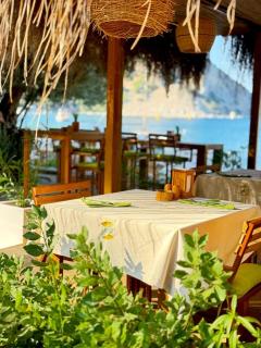 Z-Villas Beach Hotel - Turunç - 4