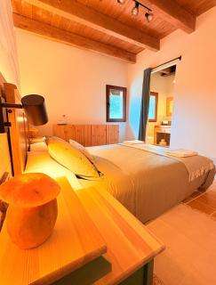 Can Viranes - Gayá - 2