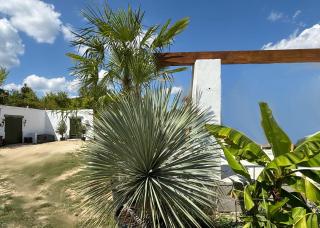 Borbara Apartman - Pázmándfalu - 8