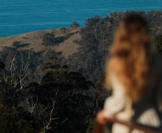 Candlebark Ridge - 6