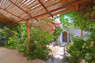 Private pool, Oceanview Rooftop in Historic La Paz - 0