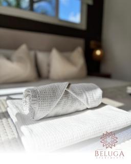 Beluga Apartments Curacao - nabij Willemstad & Mambo Beach - 2