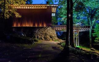 Stoneflower Cottage - Heber Springs - 2