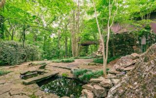 Stoneflower Cottage - Heber Springs - 3