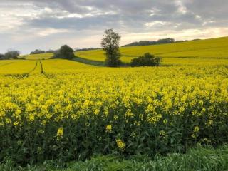 Charming Fisherman's Cottage - By Traum Ferienwohnungen - 5