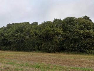 5 star holiday home in Hovborg-By Traum - Hovborg - 8