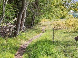 5 person holiday home in Stege-By Traum - 1