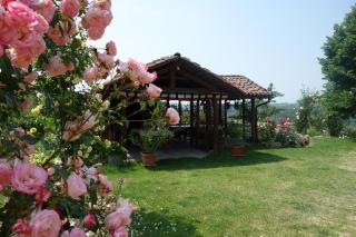 Bricco Dei Ciliegi - Cortazzone - 4