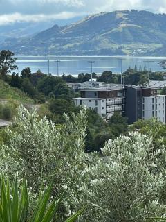 Sunny hillside central Nelson hideaway with city to sea views - Nelson - 0