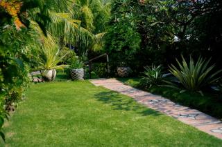 The BBQ Guest House - Amed - 5