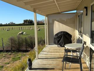 Havelock Cottage - Pukeko Nest - 9
