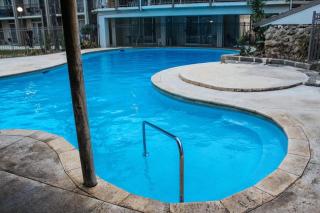 Paradise Palm - 4