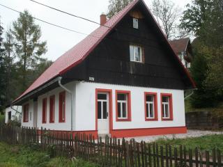Holiday Home Rudník near Ski Lift - Javorník - 5