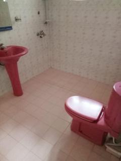 Hills Bungalow Bandarawela - 5