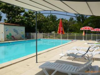Chalet sur pilotis avec terrasse pour 2 personnes - API-1-52-293 - Moncrabeau - 1