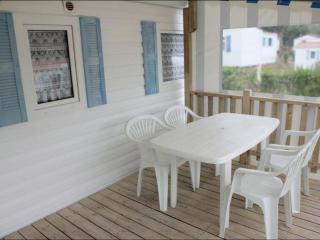 Mobil-home avec terrasse - 2 chambres à Bretignolles-sur-Mer - API-1-52-300 - Brétignolles-sur-Mer - 8