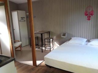 Chalet confortable avec terrasse - API-1-52-354 - Darbres - 9