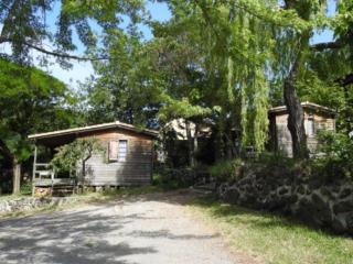 Chalet confortable avec terrasse - API-1-52-354 - 8