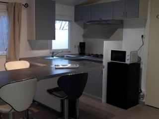 Mobil-Home avec Jacuzzi pour 4 personnes et Terrasse - API-1-52-465 - 8