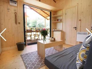 Chalet sur pilotis avec terrasse pour 4 personnes - API-1-52-496 - 9
