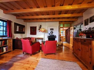 Holiday Home in Edlitz near Ski Slopes - Edlitz - 4