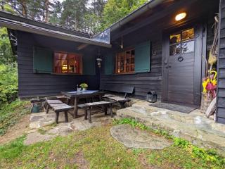 Holiday Home in Edlitz near Ski Slopes - Edlitz - 0