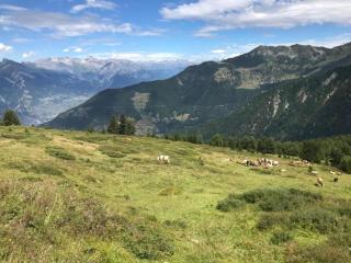 Apartment in La Tzoumaz by Ski Lift - 5