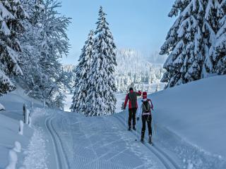 Apartment in La Tzoumaz by Ski Lift - 1