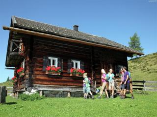 Apartment in Flachau near Ski Slopes - 6
