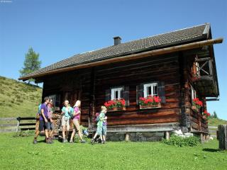 Apartment in Flachau near Ski Slopes - 2