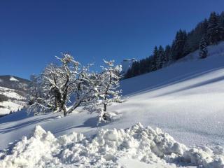 Apartment in Flachau near Ski Slopes - 1