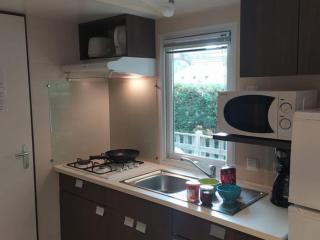 Mobil-home spacieux avec terrasse pour 6 personnes à Saint-Maime - API-1-52-487 - Saint-Maime - 9