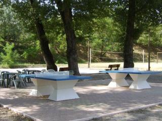 Mobil-home confortable avec terrasse à Saint-Maime - API-1-52-552 - Saint-Maime - 1