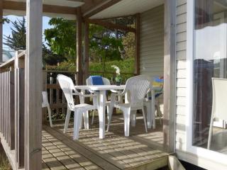 Mobil home avec terrasse pour 6 personnes - API-1-52-615 - 7
