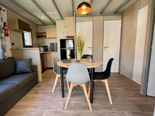 Chalet 3 pièces avec terrasse à Coulon - API-1-52-669 - 9