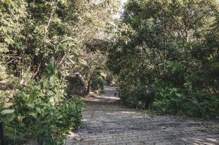 Slow-Down Homestay Koh Tao 1 - 5