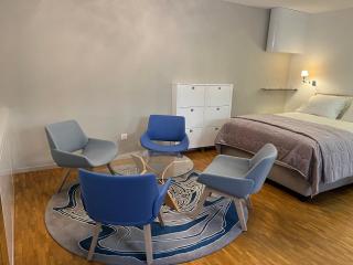 Central Charm Apartment, Geneva City Center - 6