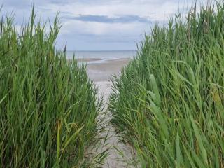 4 person holiday home in Hadsund - 5