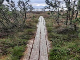 4 person holiday home in Hadsund - 3