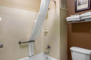 Comfort Suites The Colony - Plano West - The Colony - 4