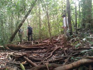 orangutan trip tanjung puting - Pangkalan Bun - 8