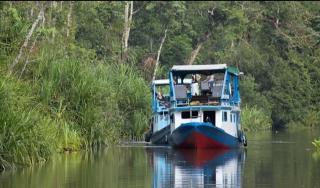 orangutan trip tanjung puting - Pangkalan Bun - 6