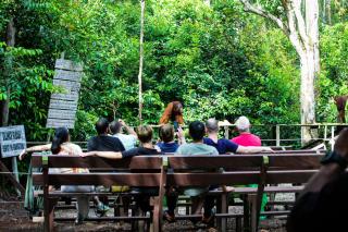 orangutan trip tanjung puting - Pangkalan Bun - 5