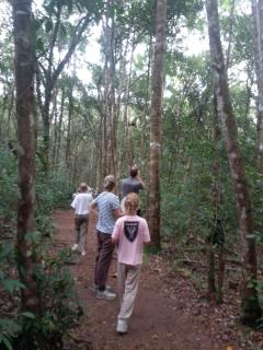 orangutan trip tanjung puting - Pangkalan Bun - 1