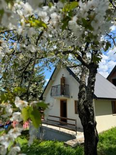 Home rent NABRDO - Kolašin - 9