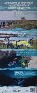 b&b Stella marina torre guaceto - 8