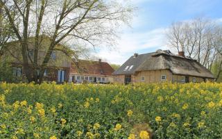 Traumhafter Vierseitenhof in Ostseenähe für Workshops, Seminare und Retreats - Pommerby - 0