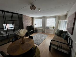Kaunis saunallinen kolmio Helsingin Kalasatamassa - Helsinki - 8
