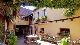 Gîte du Vignoble - 0