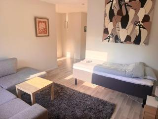 Cozy 2 Bedroom Apartment Near Santa Claus Village with space for 5 - Rovaniemi - 0